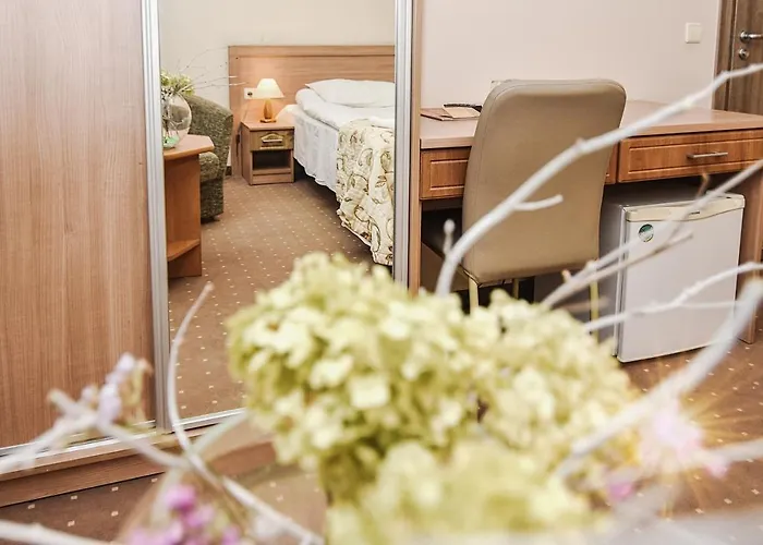 Ivolita 3* Druskininkai